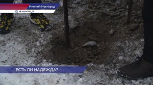 В СНТ «Надежда» в Нижнем Новгороде из-за многомиллионных долгов отключили электричество