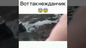 Видео от HackAvto – Лайфхаки и фишки для авто