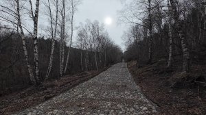 Кисловодск. Пешая прогулка от п. Белореченского. Семь ветров, Большой и Малый лбы. 1 часть.