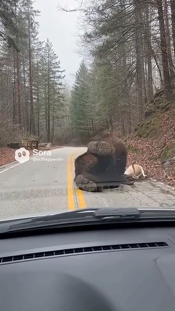 Снежный человек