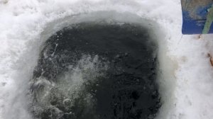 video-output-0AF14D86-07C0-4D3E-BEB6-8D58FD9A40A9-1