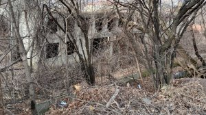 Кисловодская бесхозяйственность на ул. Московской. 2.03.2026 г.