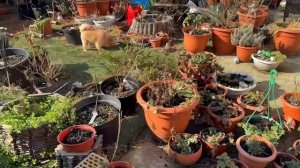 Наконец начали наводить порядок на заднем участке.