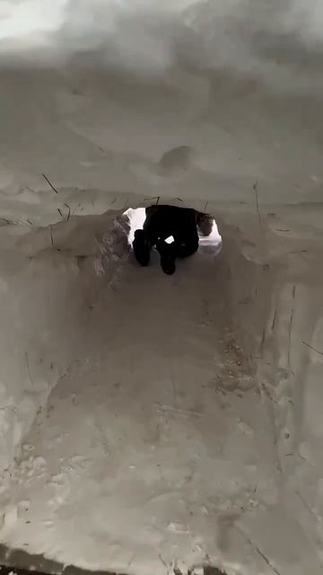 Снежаный Апокалипсис Монголия 2026