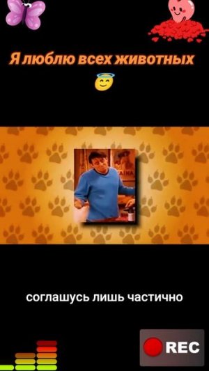 Животные приколы и не только😅