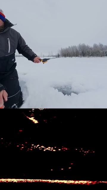 рыбалка на щуку.