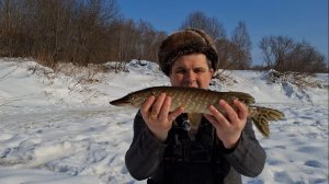 Ловим Щуку На Жерлицы На Реке