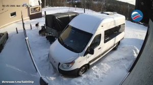 Жительница Нерюнгри стала жертвой агрессивных собак