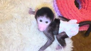 Николь продолжает на меня обижаться, а Финик с ней пересвистывается❤️