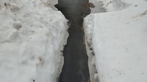 Домоседа тут нет хотя как без него🤣