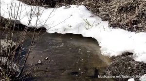 КОГДА ЦВЕТУТ САДЫ ПРЕМЬЕРА 2026  @tatjanagrebe11