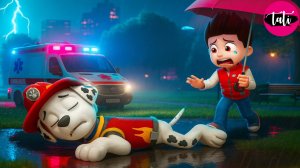 Щенячий патруль и Маршалл. Залипательное видео. Мультфильм для детей и малышей. Анимация 324