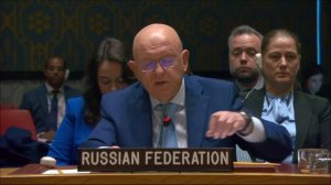 Выступление В.А.Небензи в СБ ООН по теме «Дети, технологии и образование в условиях конфликта»