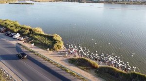 "Лебединое озеро", Евпатория, Крым 2020