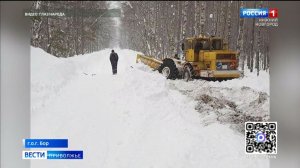 Александр Бастрыкин поручил возбудить уголовное дело из-за плохой дороги к деревням и СНТ на Бору