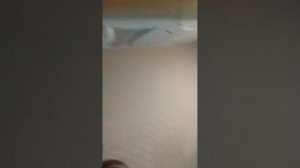 я в закулисье