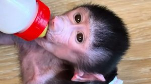 Я вся НА НЕРВАХ, Николь с утра не хочет кушать и у меня включается СИНДРОМ БАБУШКИ😁