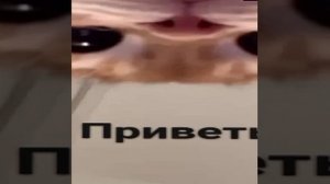 Я исполнила обешяние