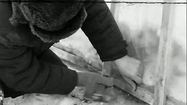 1977 год. Тюмень. Строительство теплиц