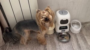 Он как ребёнок радуется новым игрушкам//Нарядная домашняя одежда