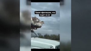 Видео от МЭН - Мне Это Нравится