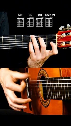 NORMAN GÄNSER Гитара #001 | Gitarre lernen Guitar видео