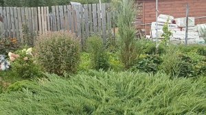 Прогулка по саду 18.08.2024..mp4