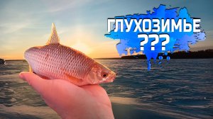 Искал леща,нашёл плотву!