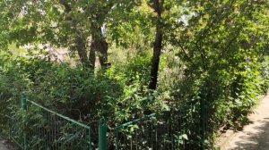 Один из дней города Евпатории | 28 мая 2021 год | Крым | ХАН БАТОН | XAH 6ATOH | VID_20210528_134315