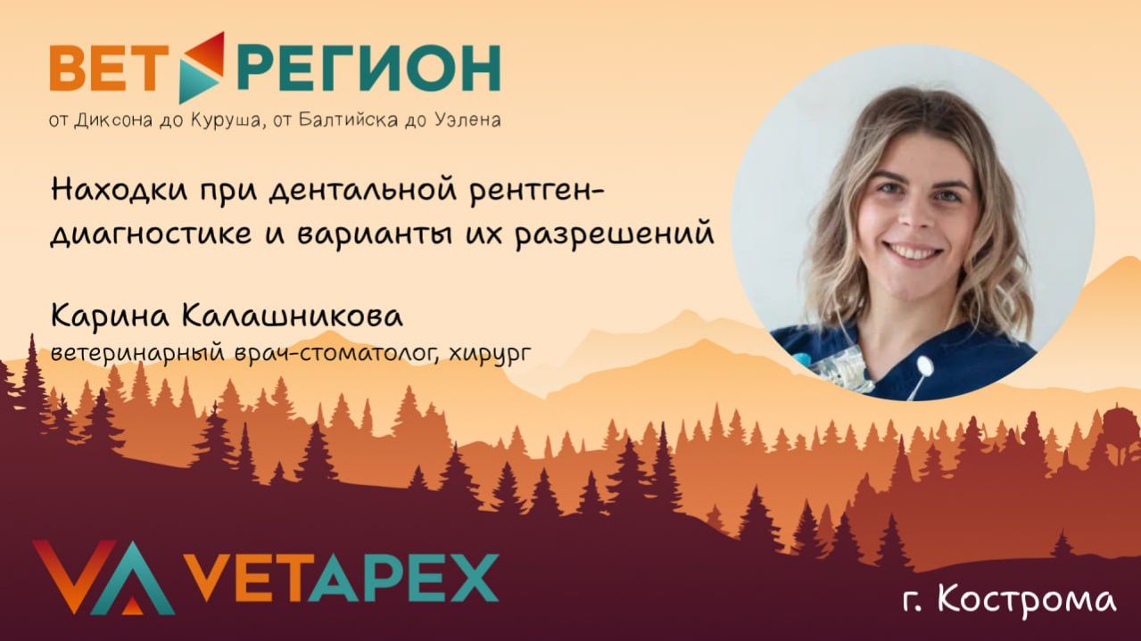 ВетРегион. Карина Калашникова "Находки при дентальной рентген-диагностике и варианты их разрешений"