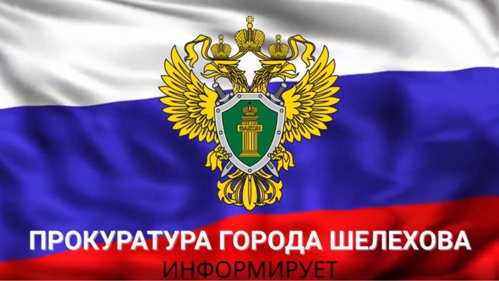 ПДД и безопасность на дорогах Шелеховского района: что важно знать каждому