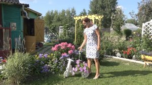 6 соток 28 июля 2021 год. На дачу. Хроника