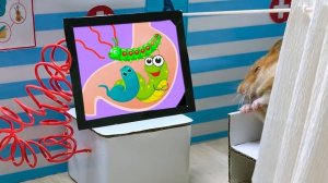 😱Беременный мужчина! Доктор-хомяк ошибся и принял беременность за беременность