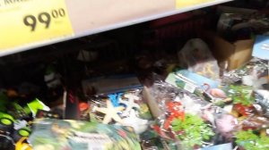 Опять пришёл в магазин чижик показать все новинки которых я не видел. Просто великолепный выбор.