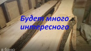 Начинаю изготовление не стандартных дверей для бани. Выбор материала