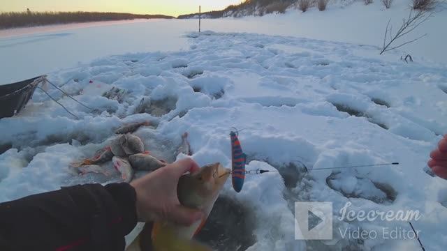 нашел яму и ловлю мешками рыбу