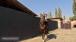 Ноокат базарындагы далдалчы — Адыл ава