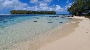 Пляж и океанские волны