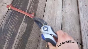 Как заготовить черенок винограда