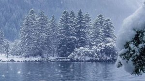 03-03-2026 Жизнь в деревне 🏡.Мои будни .