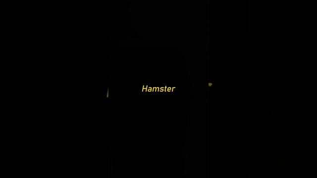 ТОПОВЫЕ ПРИКОЛЫ!🌟 💥 ✨ЧАСТЬ 20