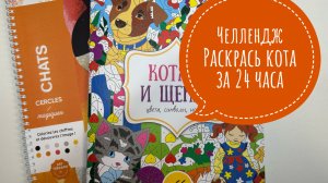 Челлендж Раскрась кота за 24 часа