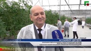 Фитосанитарный мониторинг тепличных хозяйств.