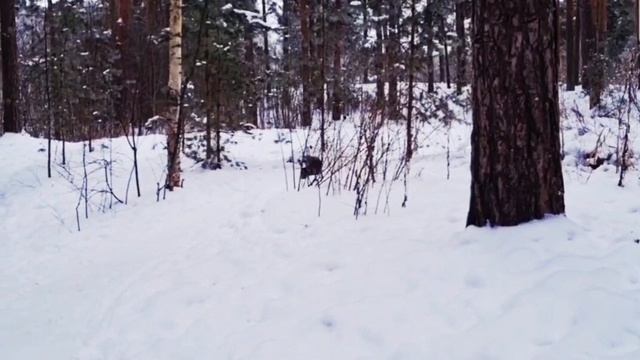 Дрифт по снегу!