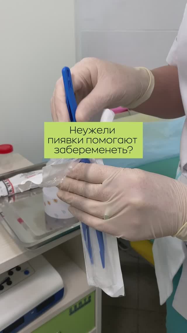 🤔 Неужели пиявки помогают забеременеть?