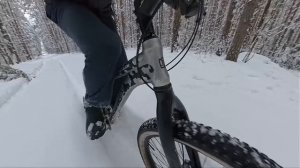 садовые тропы