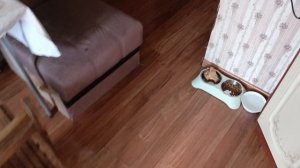 Влог С покупками и ценами за вчерашний день.