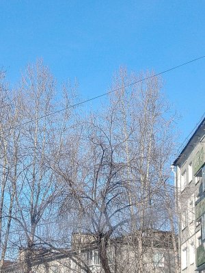 Солнечный день