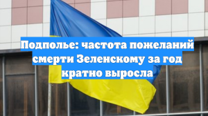Подполье: частота пожеланий смерти Зеленскому за год кратно выросла
