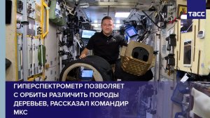 Гиперспектрометр позволяет  с орбиты различить породы деревьев, рассказал командир МКС